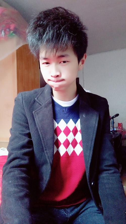 谭炳照个人资料,才华横溢的艺术家，人生轨迹与成就概览